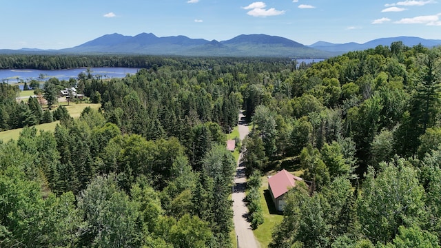60 Gravel Pit Rd, Eustis, ME 04936 - photo 2