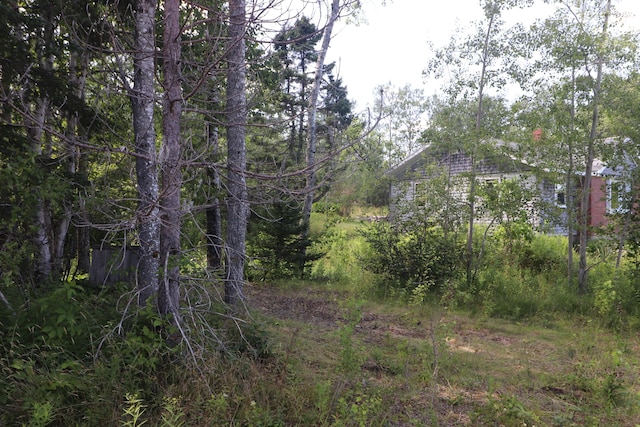 1323 Port Rd, Machiasport, ME 04655 - photo 24