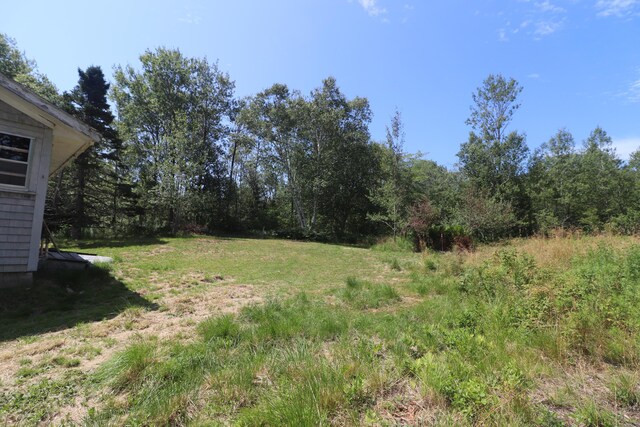1323 Port Rd, Machiasport, ME 04655 - photo 26