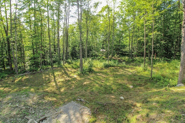 123 Bowerbank Rd, Sebec, ME 04481 - photo 33