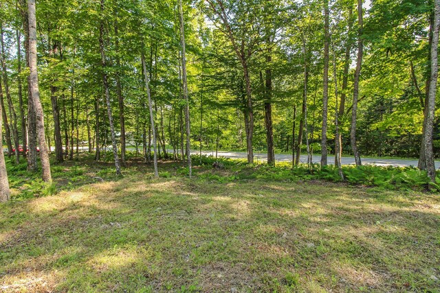 123 Bowerbank Rd, Sebec, ME 04481 - photo 36