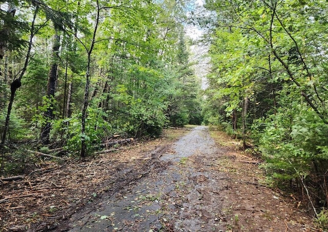 3-24D Smith Rd, Macwahoc Plt, ME 04451 - photo 2
