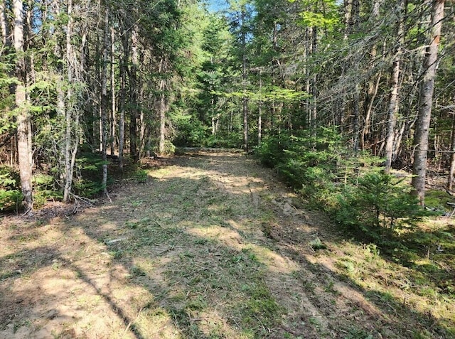 3-24D Smith Rd, Macwahoc Plt, ME 04451 - photo 5