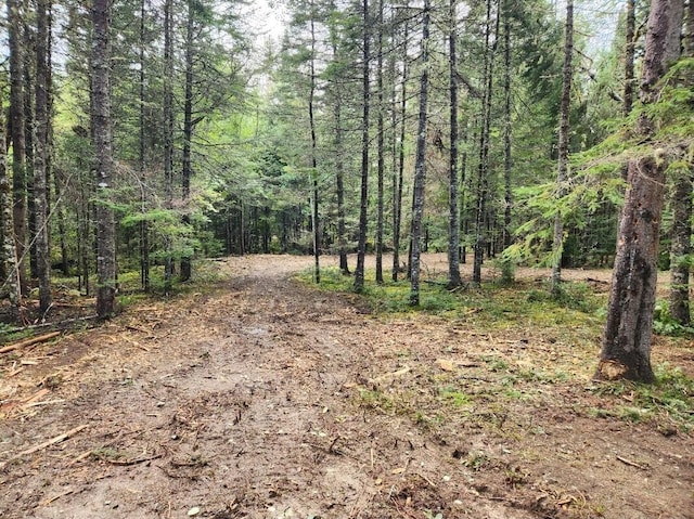 3-24D Smith Rd, Macwahoc Plt, ME 04451 - photo 6