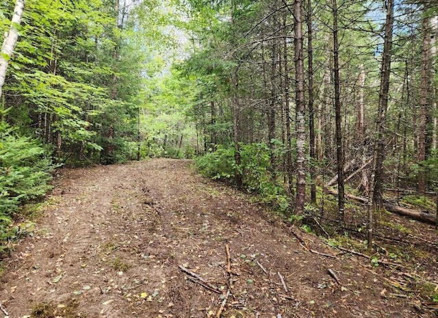 3-24D Smith Rd, Macwahoc Plt, ME 04451 - photo 8