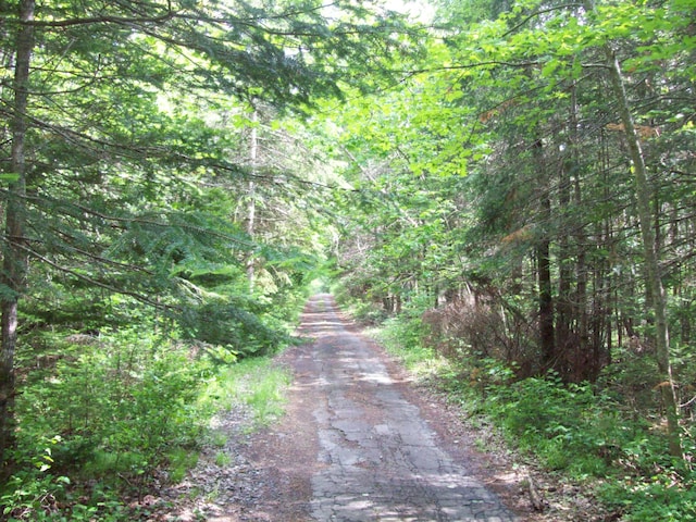 3-24D Smith Rd, Macwahoc Plt, ME 04451 - photo 10