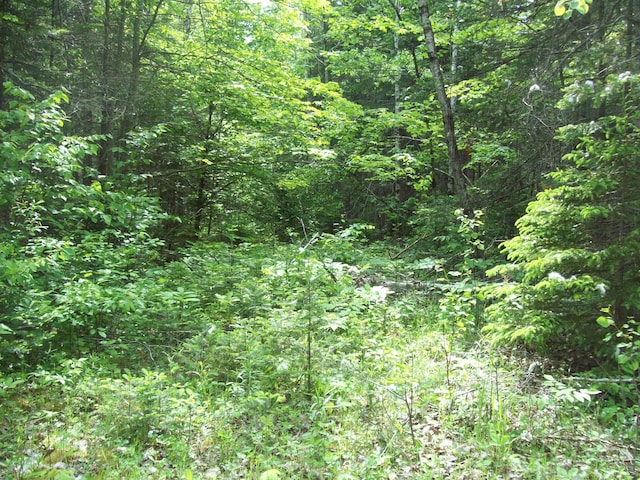 3-24D Smith Rd, Macwahoc Plt, ME 04451 - photo 12