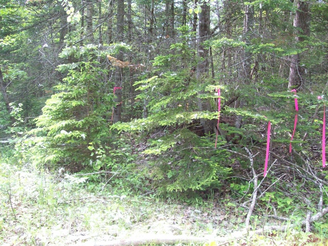 3-24D Smith Rd, Macwahoc Plt, ME 04451 - photo 13