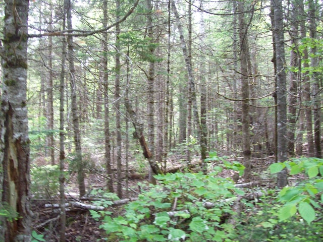 3-24D Smith Rd, Macwahoc Plt, ME 04451 - photo 14