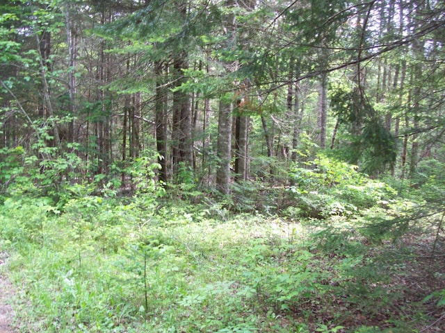 3-24D Smith Rd, Macwahoc Plt, ME 04451 - photo 18