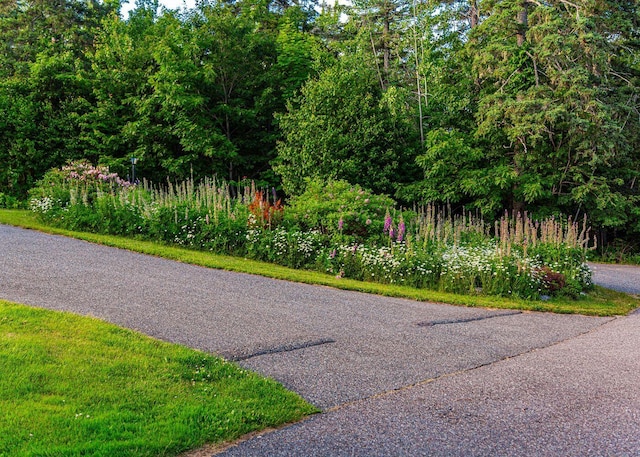 11 Ocean Bridge Blvd, Lamoine, ME 04605 - photo 8
