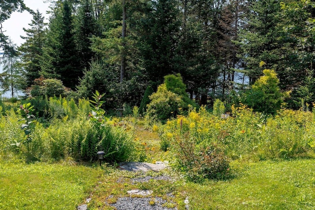 11 Ocean Bridge Blvd, Lamoine, ME 04605 - photo 14