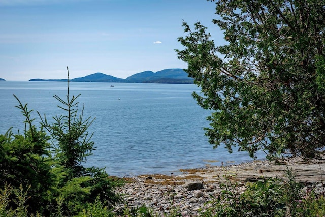 11 Ocean Bridge Blvd, Lamoine, ME 04605 - photo 16