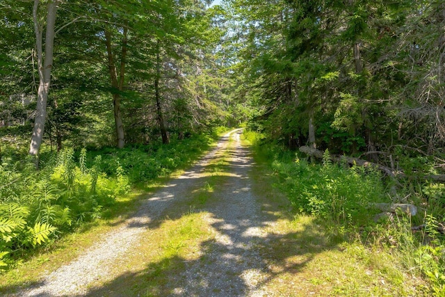 11 Ocean Bridge Blvd, Lamoine, ME 04605 - photo 18