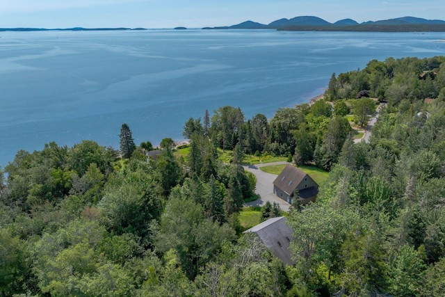 11 Ocean Bridge Blvd, Lamoine, ME 04605 - photo 22