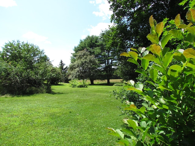 53 Ferry Rd, Lisbon, ME 04250 - photo 50
