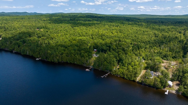 82 E Shore Rd, Athens, ME 04912 - photo 9