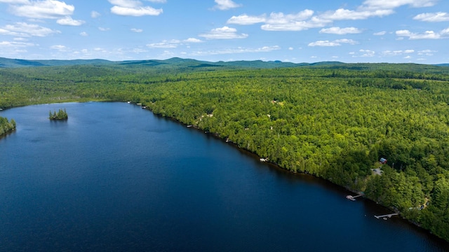 82 E Shore Rd, Athens, ME 04912 - photo 12