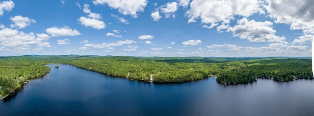 82 E Shore Rd, Athens, ME 04912 - photo 13