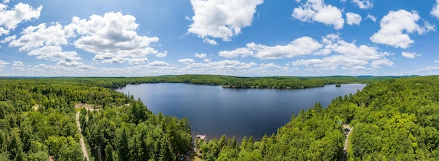 82 E Shore Rd, Athens, ME 04912 - photo 14