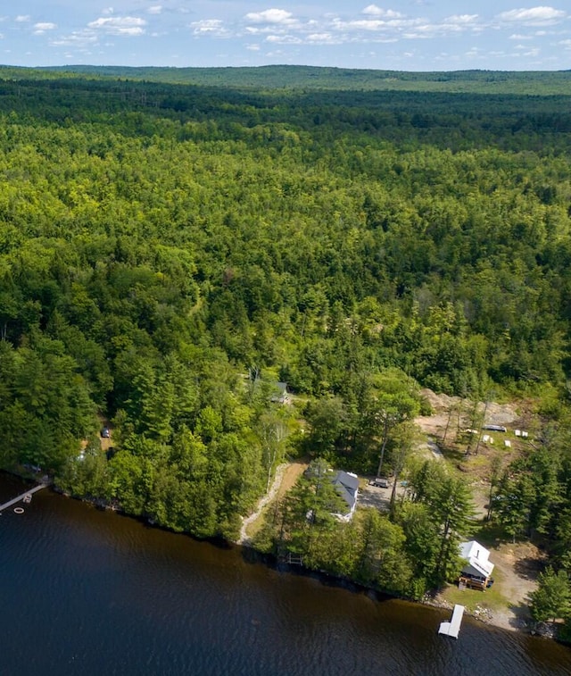 82 E Shore Rd, Athens, ME 04912 - photo 5