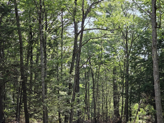 00 Pinnacle Rd, Liberty, ME 04949 - photo 3