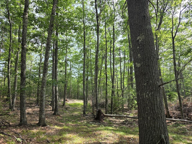 00 Pinnacle Rd, Liberty, ME 04949 - photo 4
