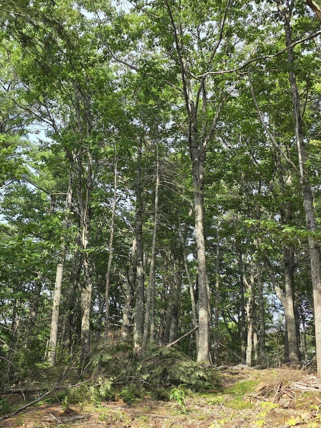 00 Pinnacle Rd, Liberty, ME 04949 - photo 1