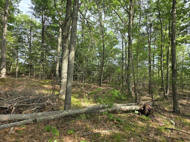 00 Pinnacle Rd, Liberty, ME 04949 - photo 7