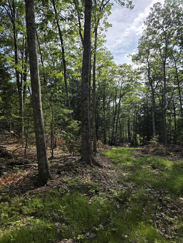 00 Pinnacle Rd, Liberty, ME 04949 - photo 10