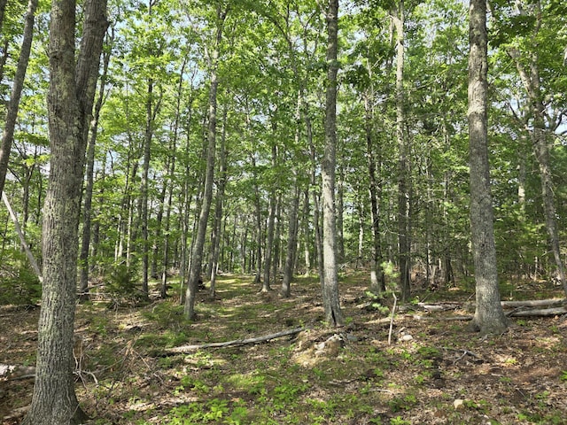 00 Pinnacle Rd, Liberty, ME 04949 - photo 11