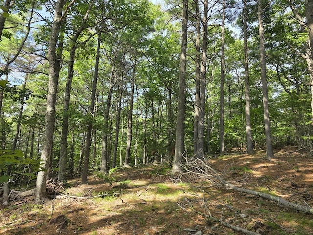 00 Pinnacle Rd, Liberty, ME 04949 - photo 8