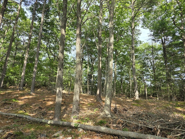00 Pinnacle Rd, Liberty, ME 04949 - photo 6