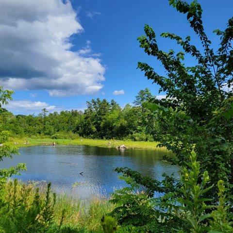 14 Arab Rd, Lee, ME 04455 - photo 19