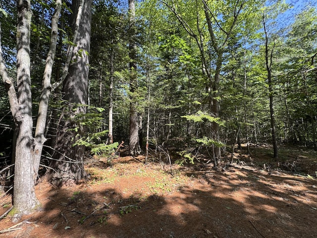 LOT5 School St, Belfast, ME 04915 - photo 1