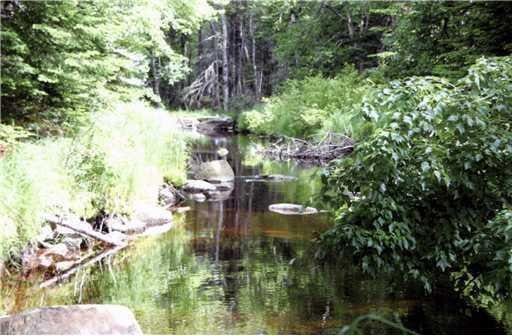 MAP3-30 Marshfield Flats Rd, Marshfield, ME 04654 - photo 2