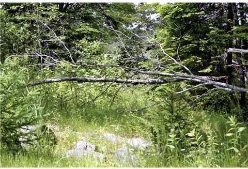 MAP3-30 Marshfield Flats Rd, Marshfield, ME 04654 - photo 4