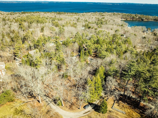 122 6-1 Timbercliffe Dr, Camden, ME 04843 - photo 5