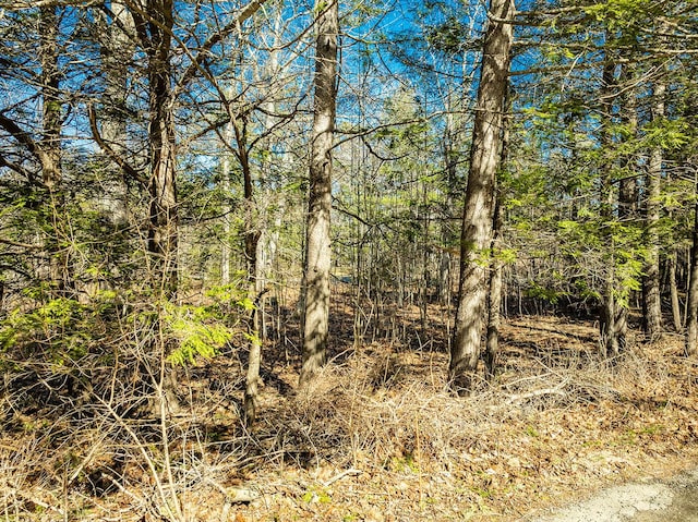 122 6-1 Timbercliffe Dr, Camden, ME 04843 - photo 2