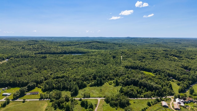 LOT2 N River Rd, Greene, ME 04236 - photo 4