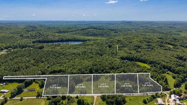 LOT2 N River Rd, Greene, ME 04236 - photo 2