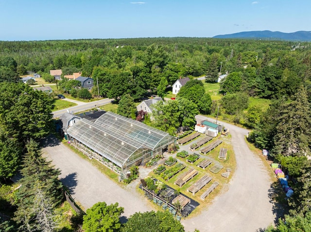 341 Seawall Rd, Southwest Harbor, ME 04679 - photo 51