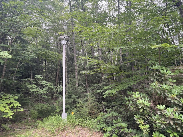 40 Meadow Way, Liberty, ME 04949 - photo 7