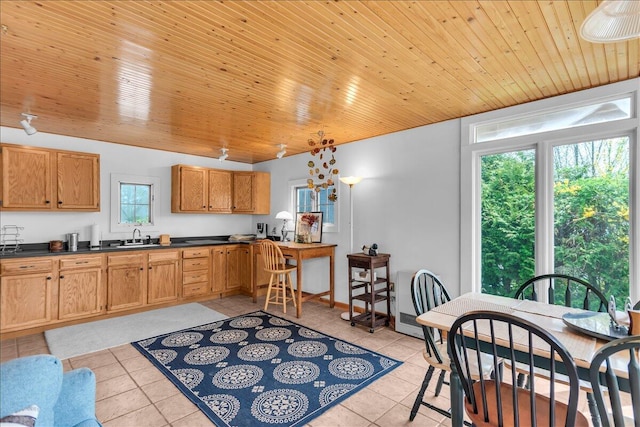 10 Green St, Castine, ME 04421 - photo 35