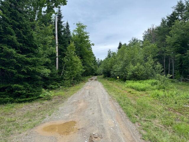 M2L21-2 S Ridge Rd, Palmyra, ME 04965 - photo 8