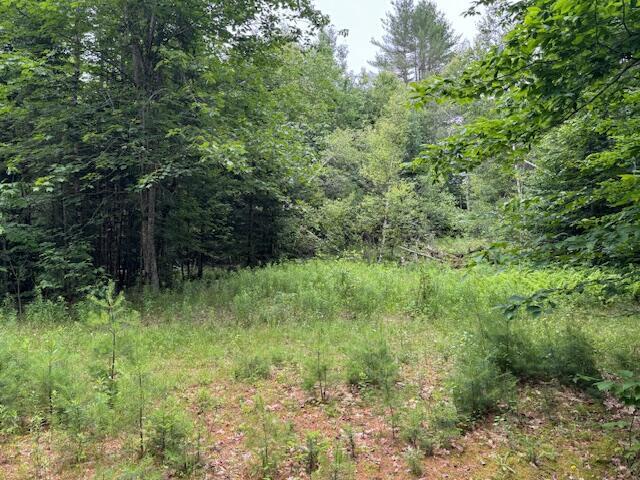 M2L21-2 S Ridge Rd, Palmyra, ME 04965 - photo 4