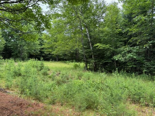 M2L21-2 S Ridge Rd, Palmyra, ME 04965 - photo 2