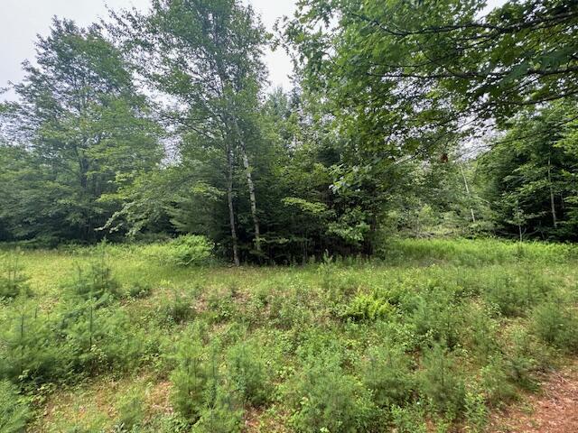 M2L21-2 S Ridge Rd, Palmyra, ME 04965 - photo 1