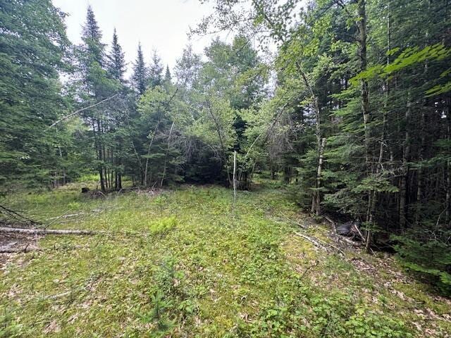 M2L21-2 S Ridge Rd, Palmyra, ME 04965 - photo 6