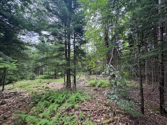 M2L21-2 S Ridge Rd, Palmyra, ME 04965 - photo 7